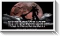 Walpurgisschlacht Open Air Festival Ticket 27.04.2012